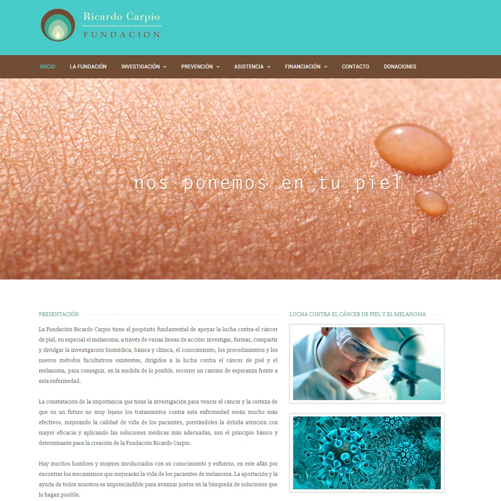 Desarrollo Web, Fundación Ricardo Carpio | Madrid