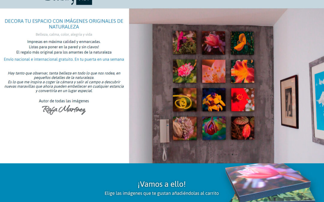 Beauty Pict, venta de fotografías, Ecommerce