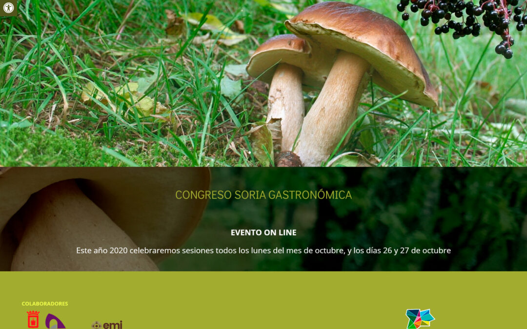 Congreso Soria Gastronómica de cocina micológica